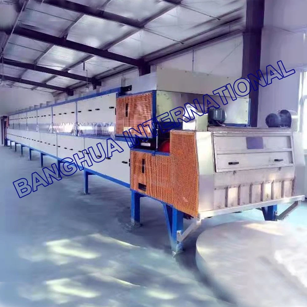 Steel Belt Rotorm Granulation Process Equipment